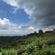 Parque Nacional de la Paz (2)